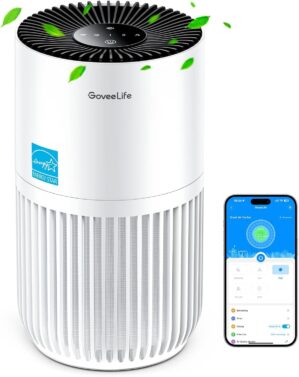 GoveeLife Mini Air Purifier for Bed...
