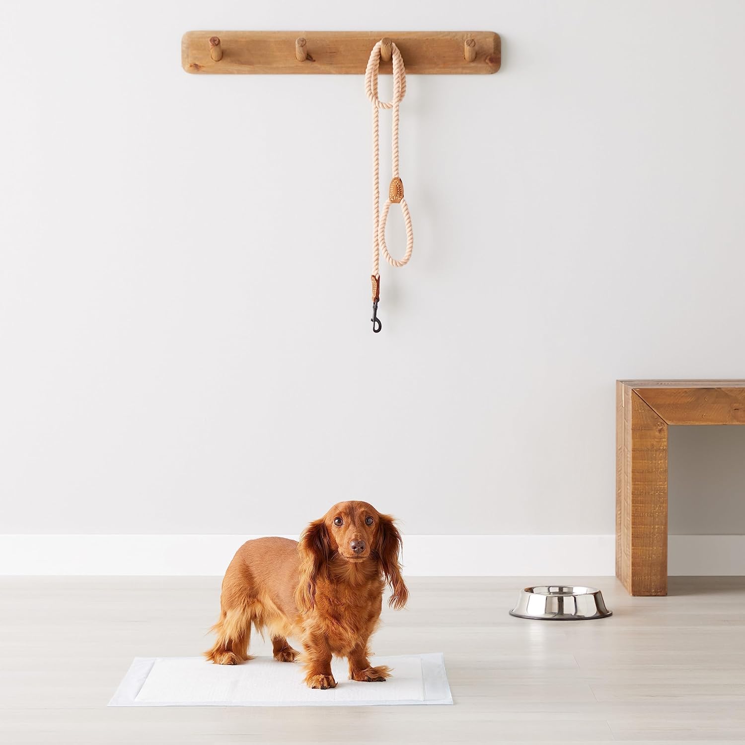 Amazon Basics Dog and Puppy Pee Pads, 5-Layer Leak-Proof Super Absorbent, Quick-Dry Surface, Potty Training, Regular (22x22"), 100 Count, Blue & White - Image 6