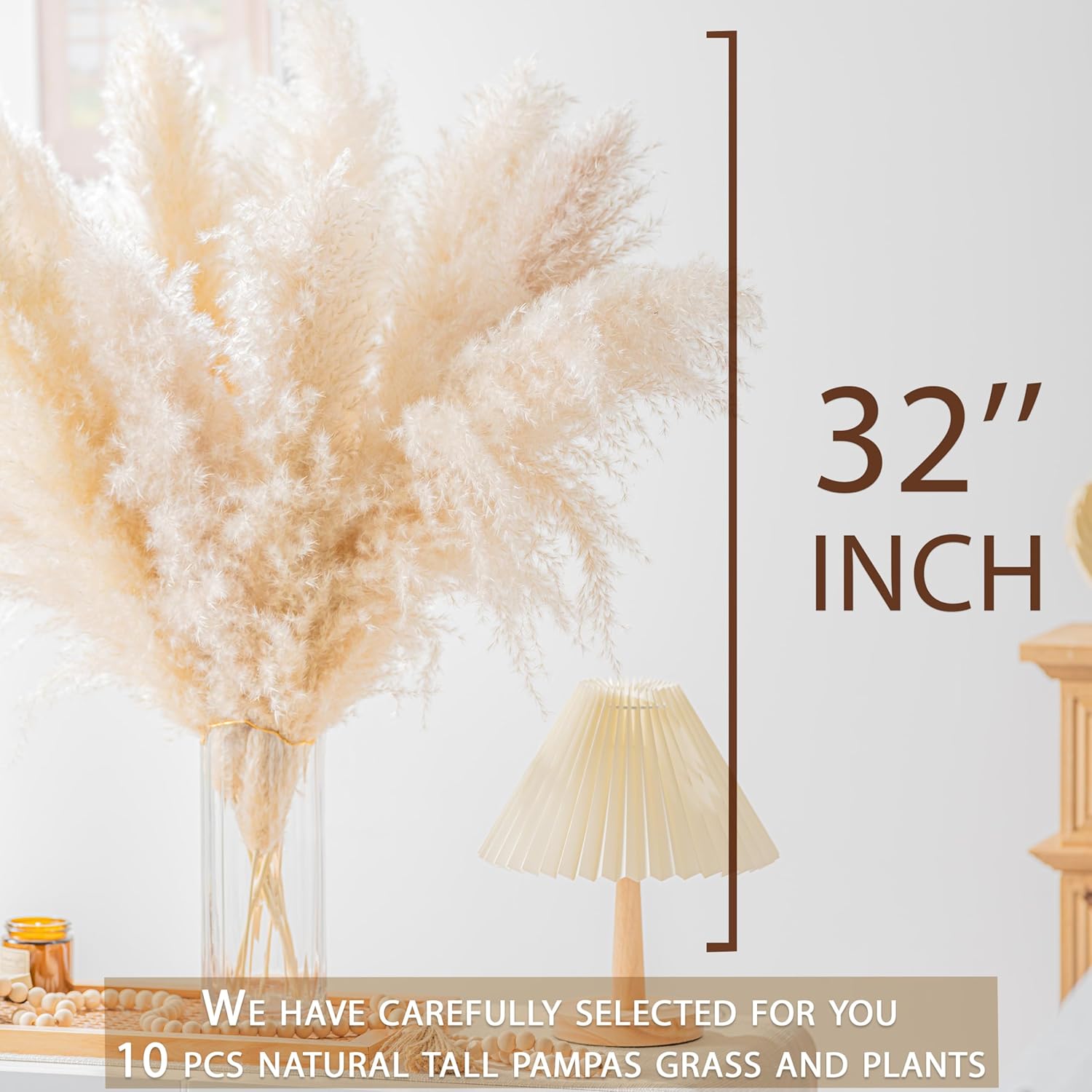 Tall Pampas Grass 10PCS Boho Decor Natural Home Decor Phragmites Dried Flowers Bouquet for Wedding Floral Arrangements Home Decorations (10PCS Tall Pampas Grass) - Image 3