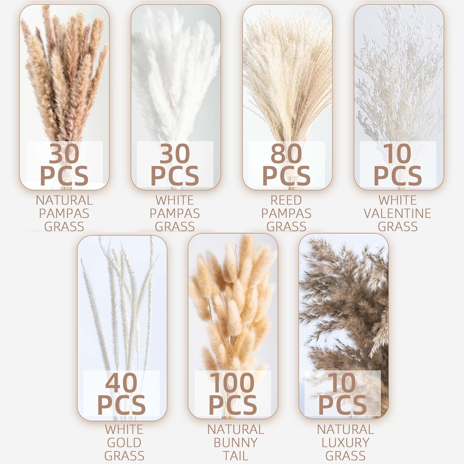 300PCS Natural Dried Pampas Grass Boho Home Decor Bouquet Phragmites Dried Flowers Bouquet for Wedding Floral Arrangements Home Decorations (300PCS) - Image 5