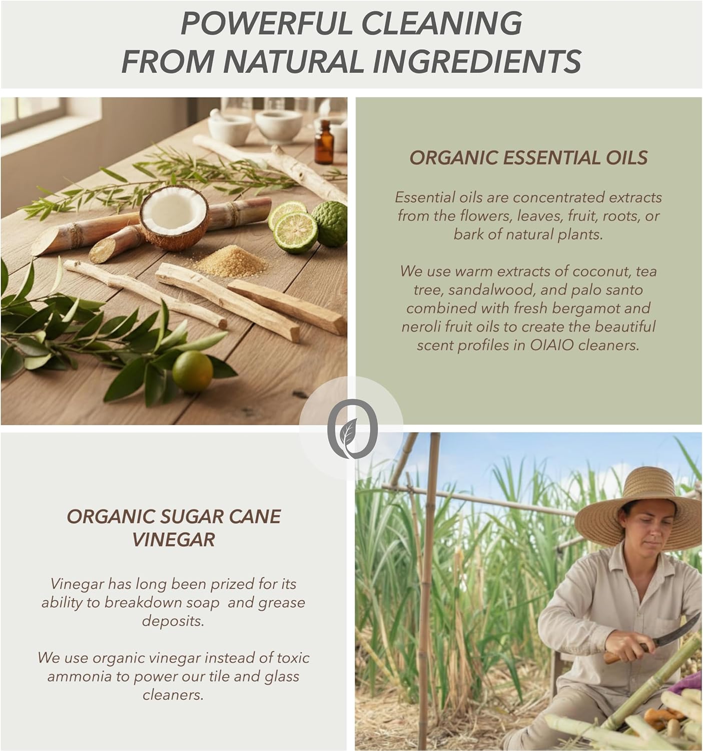 Non-Toxic Glass Cleaner - 100% Natural Organic Ingredients that Truly Perform - 24oz - Light Coconut & Bergamot Scent - Image 5