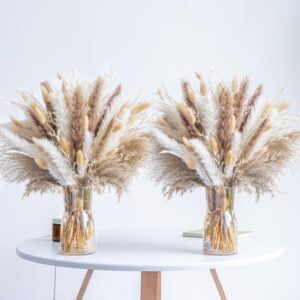 300PCS Natural Dried Pampas Grass B...