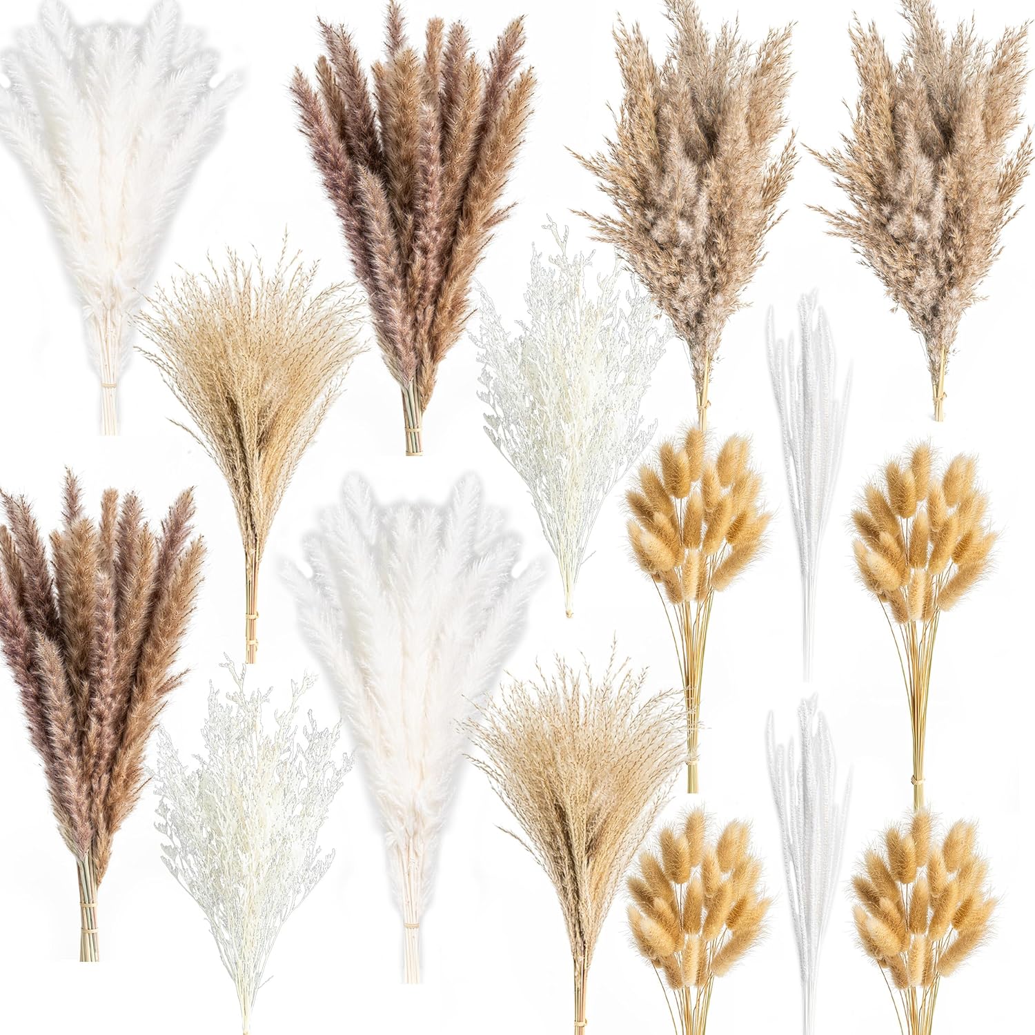 300PCS Natural Dried Pampas Grass Boho Home Decor Bouquet Phragmites Dried Flowers Bouquet for Wedding Floral Arrangements Home Decorations (300PCS) - Image 4