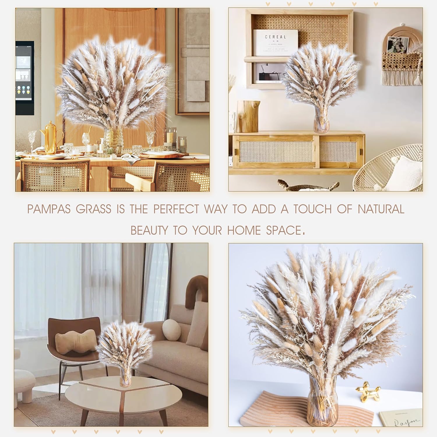 300PCS Natural Dried Pampas Grass Boho Home Decor Bouquet Phragmites Dried Flowers Bouquet for Wedding Floral Arrangements Home Decorations (300PCS) - Image 3
