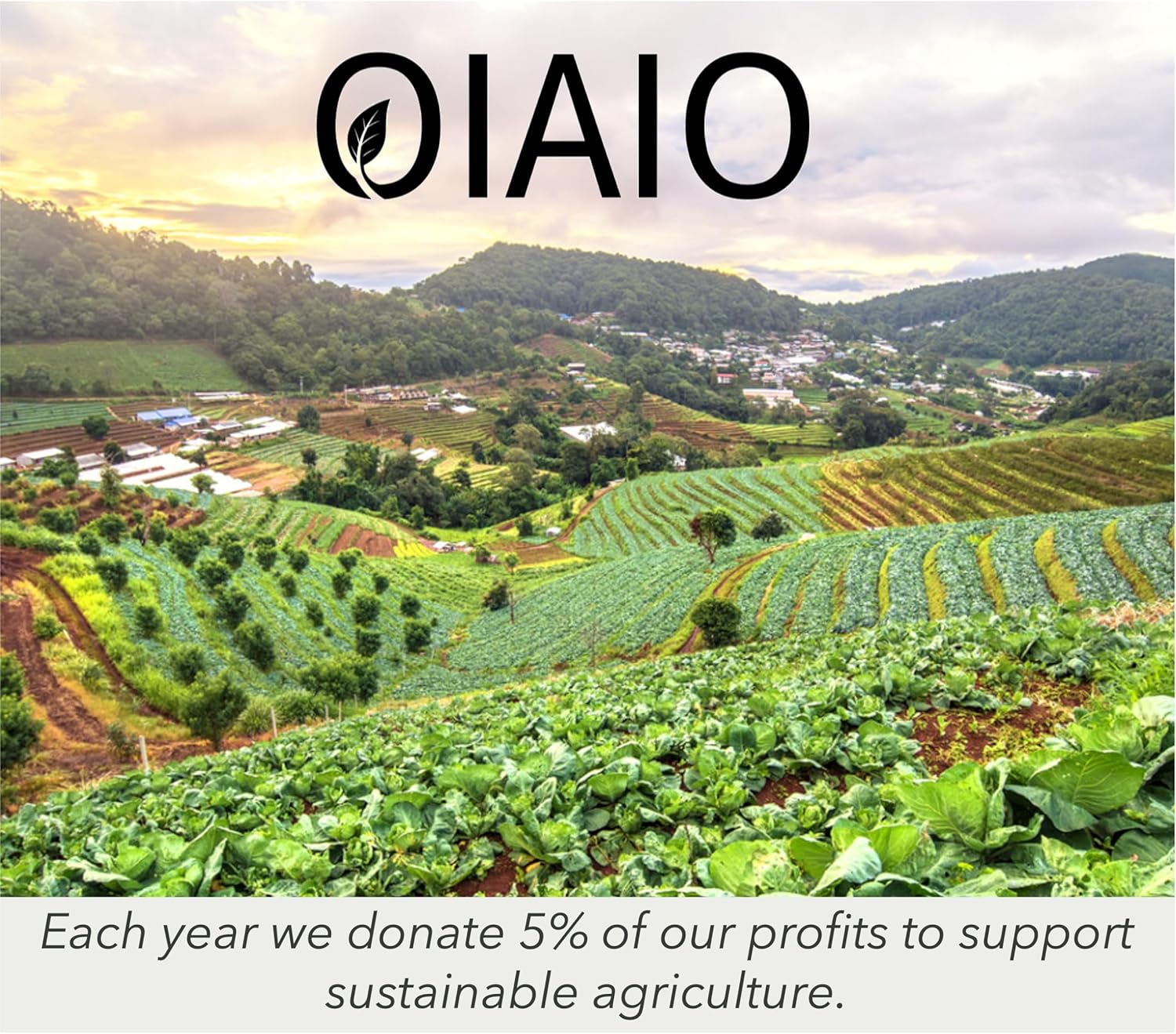 Non-Toxic Glass Cleaner - 100% Natural Organic Ingredients that Truly Perform - 24oz - Light Coconut & Bergamot Scent - Image 9