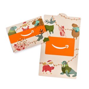 Amazon Physical Gift Card | Seasona...