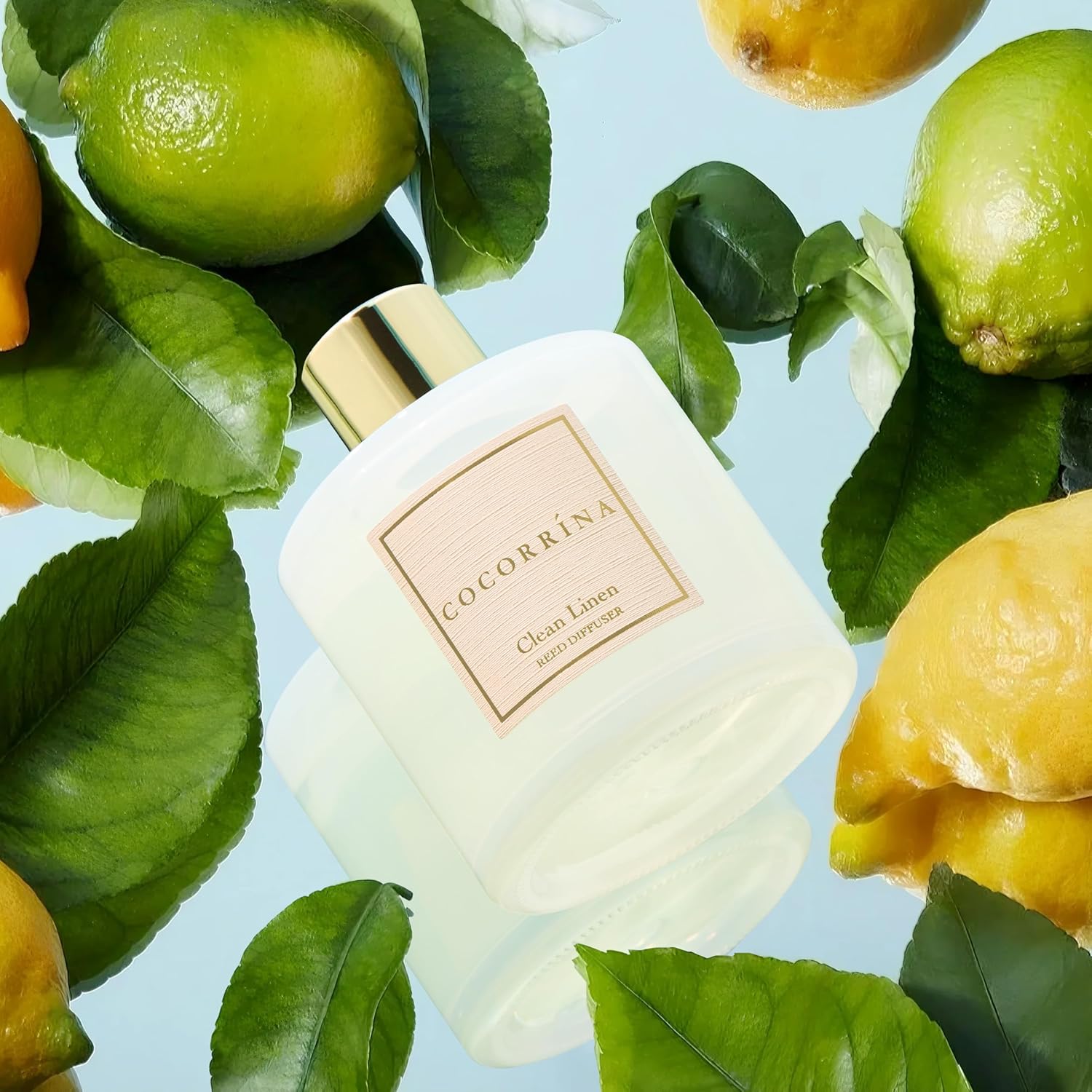 Cocorrína Reed Diffuser Set, Clean Linen 6.7 fl oz Scented Diffuser with Sticks Home Fragrance Reed Diffuser for Bathroom Shelf Decor - Image 7