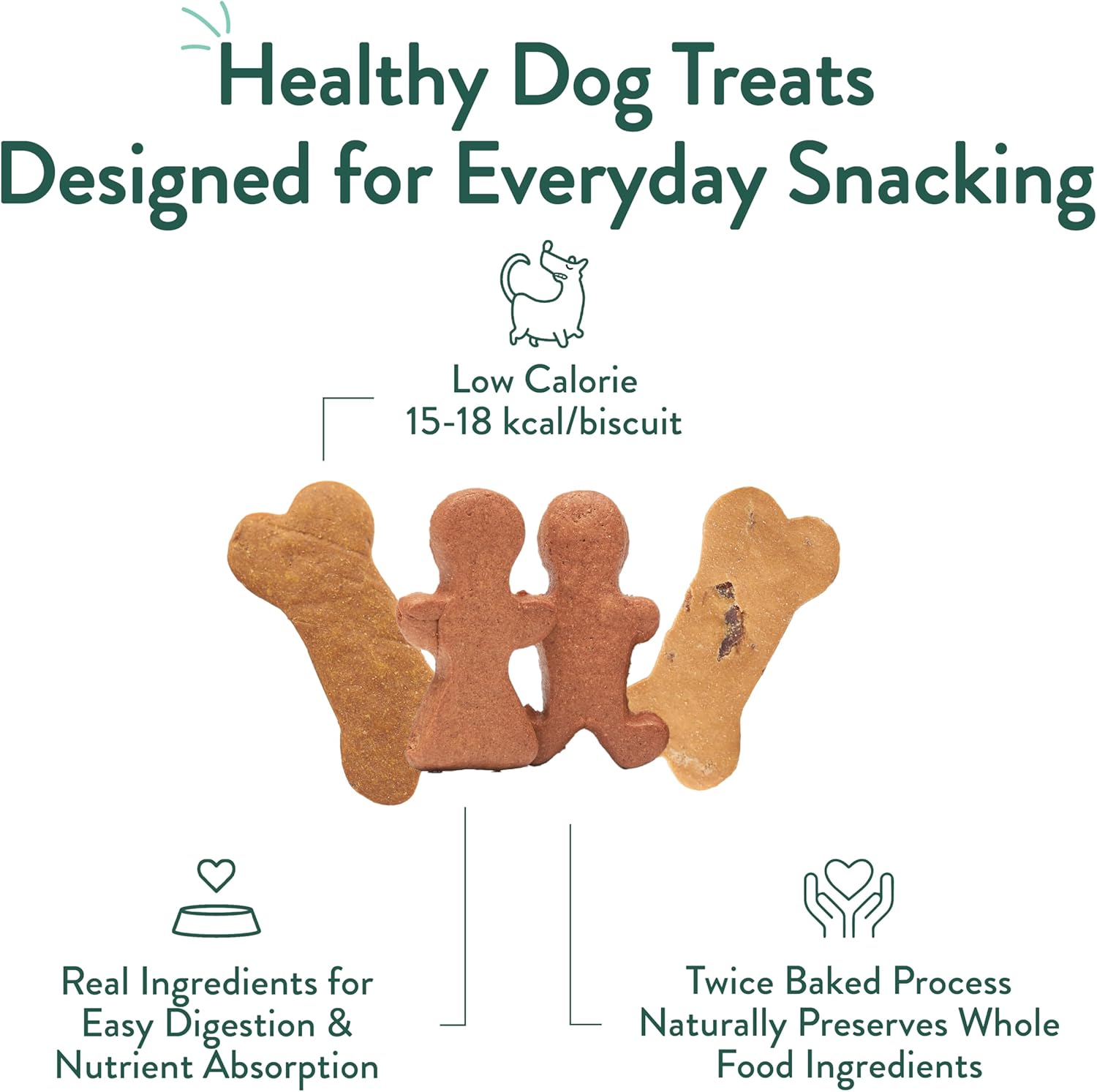 Portland Pet Food Company Natural Dog Treats Variety Pumpkin Gingerbread & Bacon Dog Biscuits - Grain-Free, Human-Grade Healthy Training & Snacks - Puppy, Small, Large Breed - Made in the USA - 3 Pack - Image 5