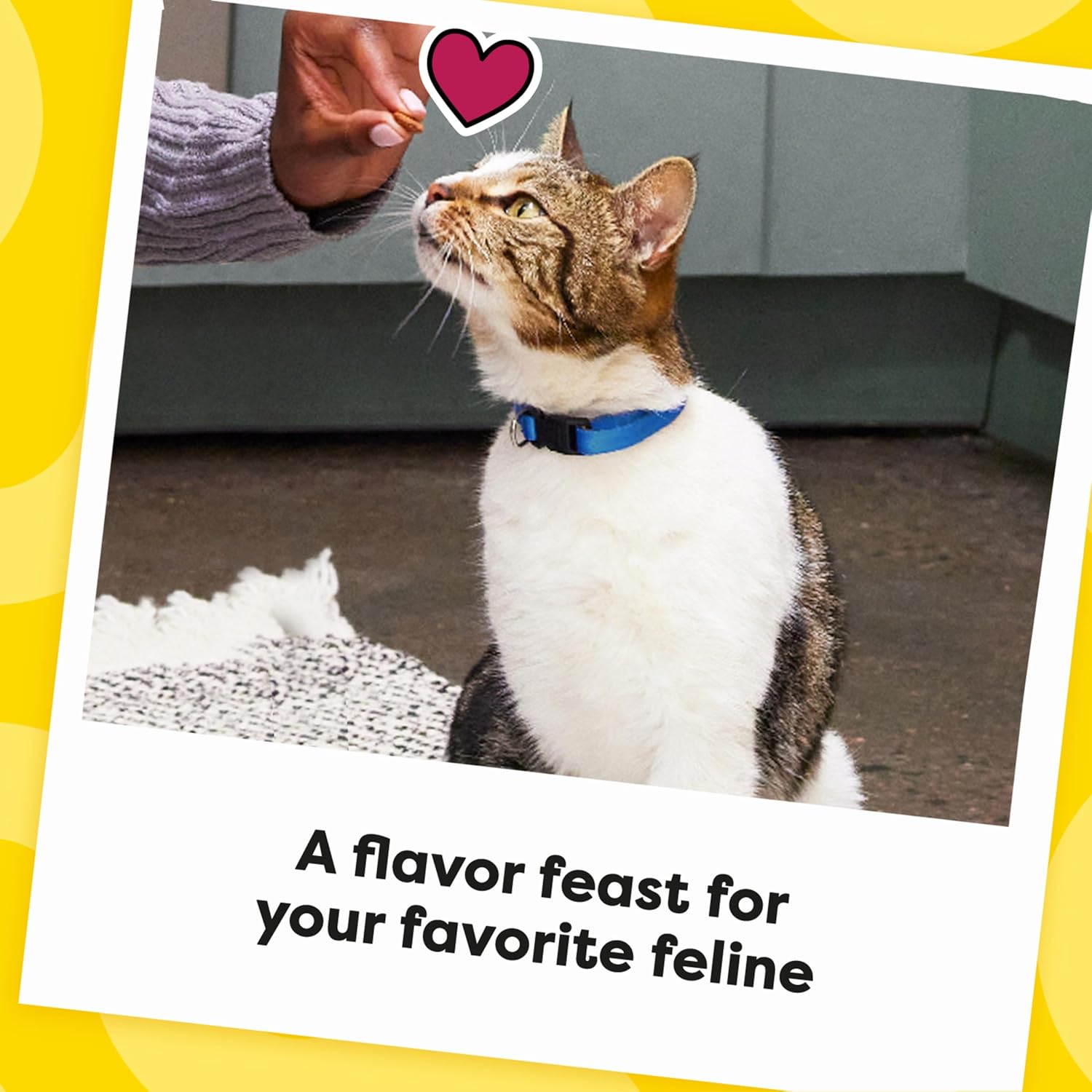 Temptations Cat Treats, Classic Crunchy and Soft Cat Treats, Catnip Fever Flavor, Catnip Treats, 16 oz. Tub - Image 10