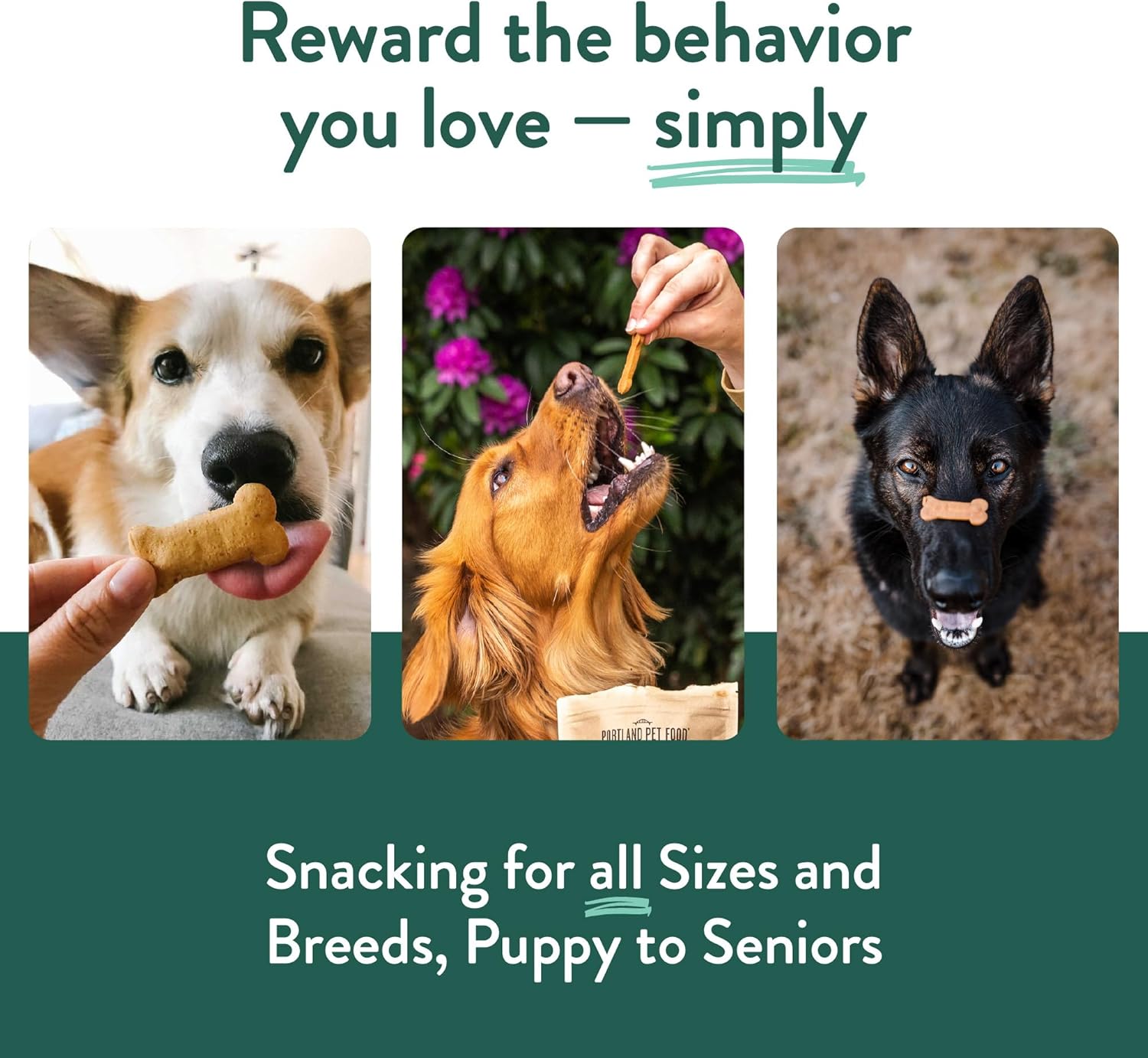 Portland Pet Food Company Natural Dog Treats Variety Pumpkin Gingerbread & Bacon Dog Biscuits - Grain-Free, Human-Grade Healthy Training & Snacks - Puppy, Small, Large Breed - Made in the USA - 3 Pack - Image 7