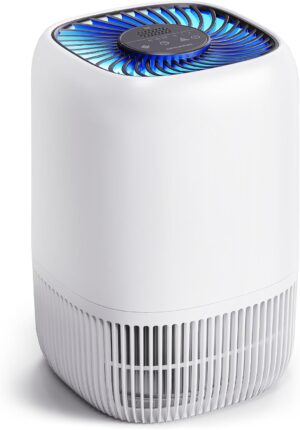 Air Purifiers for Home with High Ef...