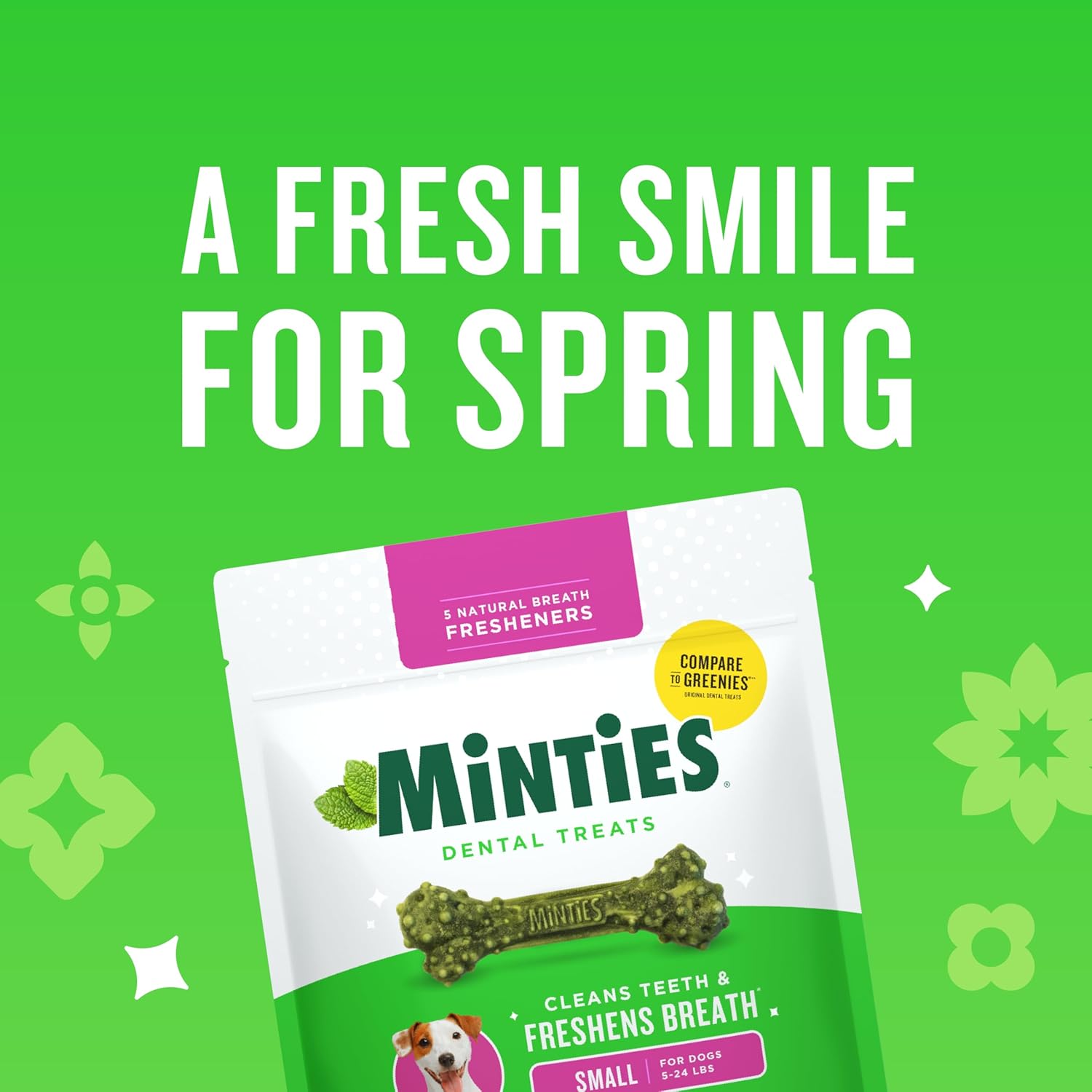 Minties Dog Dental Bone Treats, Tiny/Small Dental Dog Treats, 16 Ounces, Cleans Teeth, Fight Bad Breath, Removes Plaque and Tartar, 40 Count - Image 2