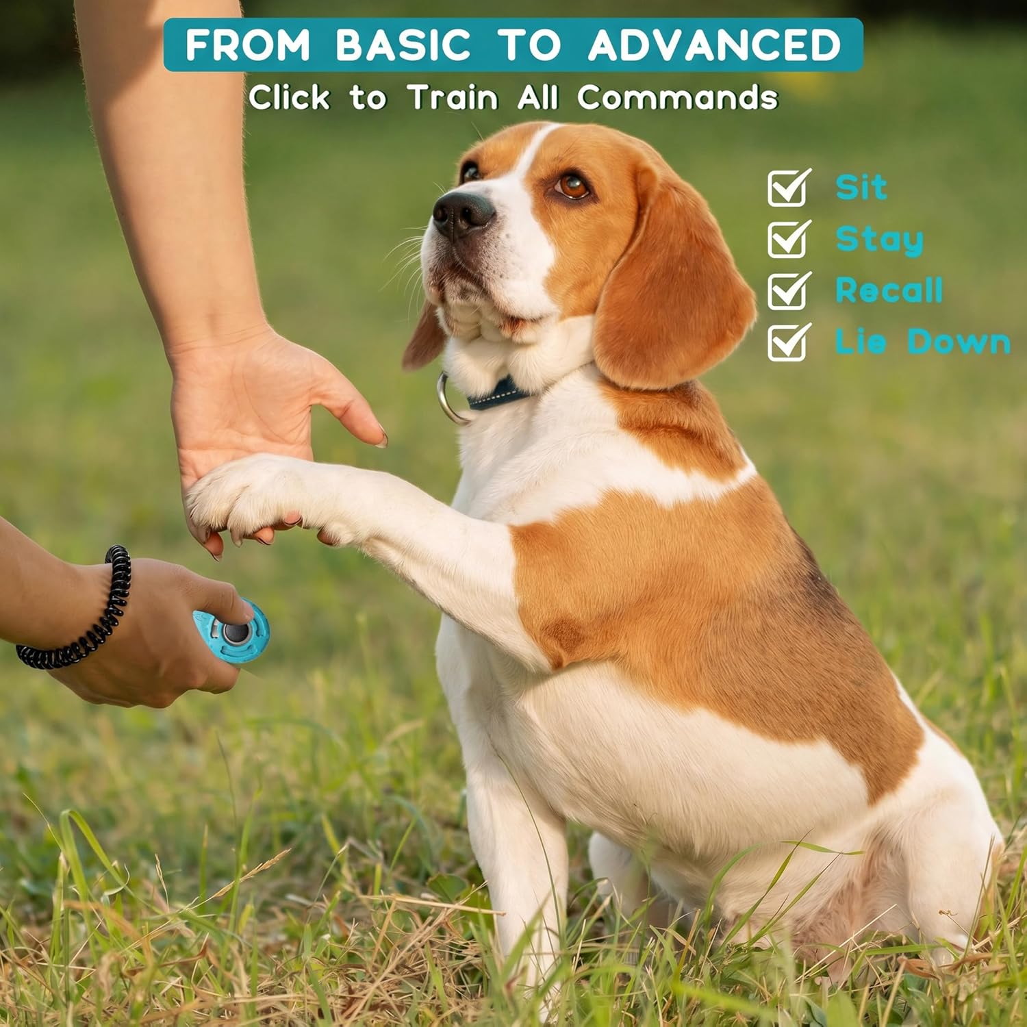 Dog Training Clicker with Sring Wrist and Keyring - Pet Dog Training Clickers for Puppy, Cat, Potty, Bird, Horse, Pet, Trainer Training Tools, Behavior Aids - Image 5