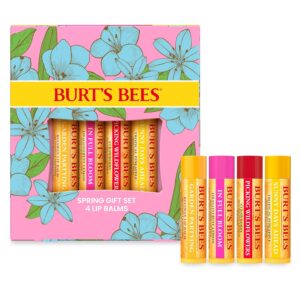 Burt’s Bees Gifts Ideas ̵...