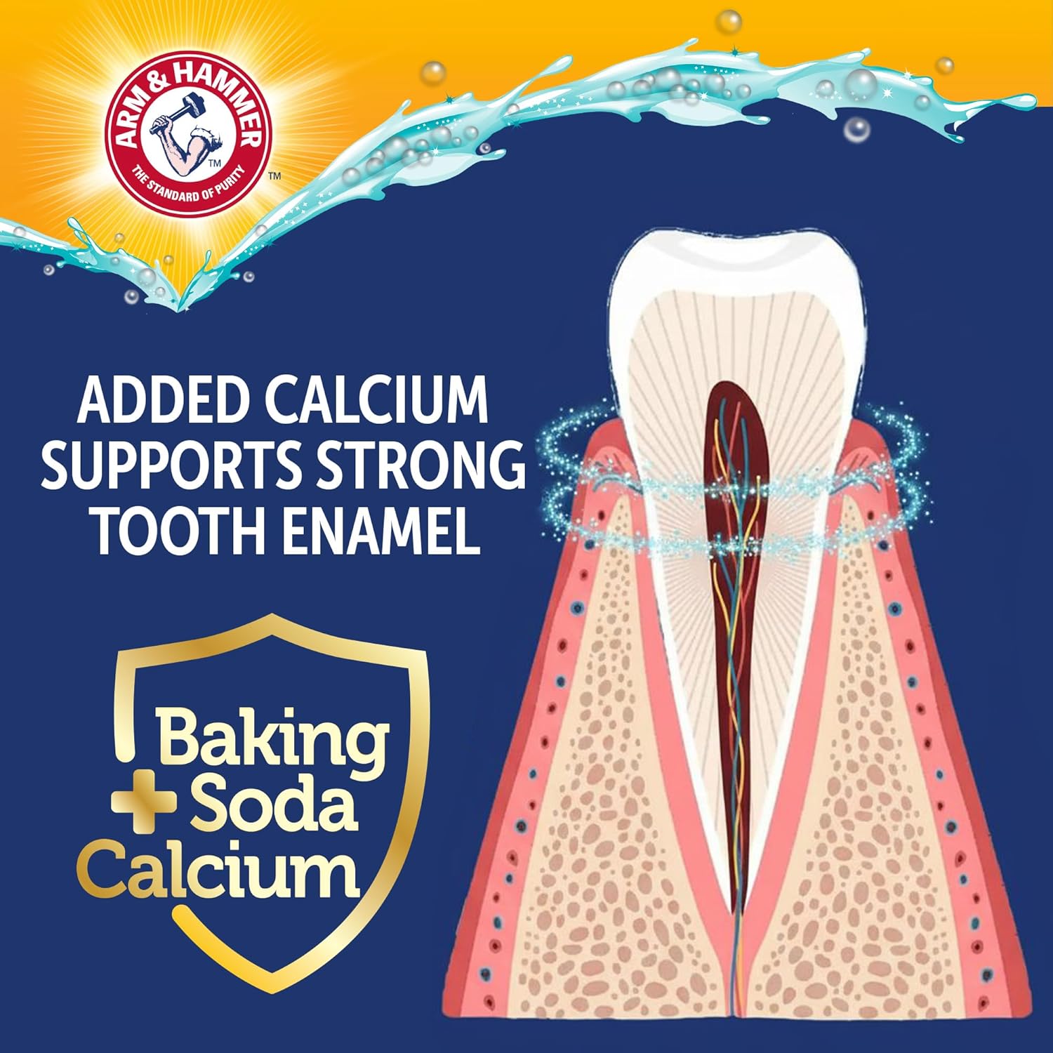 Arm & Hammer Complete Care Enzymatic Dog Toothpaste with Baking Soda and Calcium, Fluoride-Free Chicken Flavor for Plaque, Tartar, and Fresh Breath, 6.2 Oz Value Size - Image 6