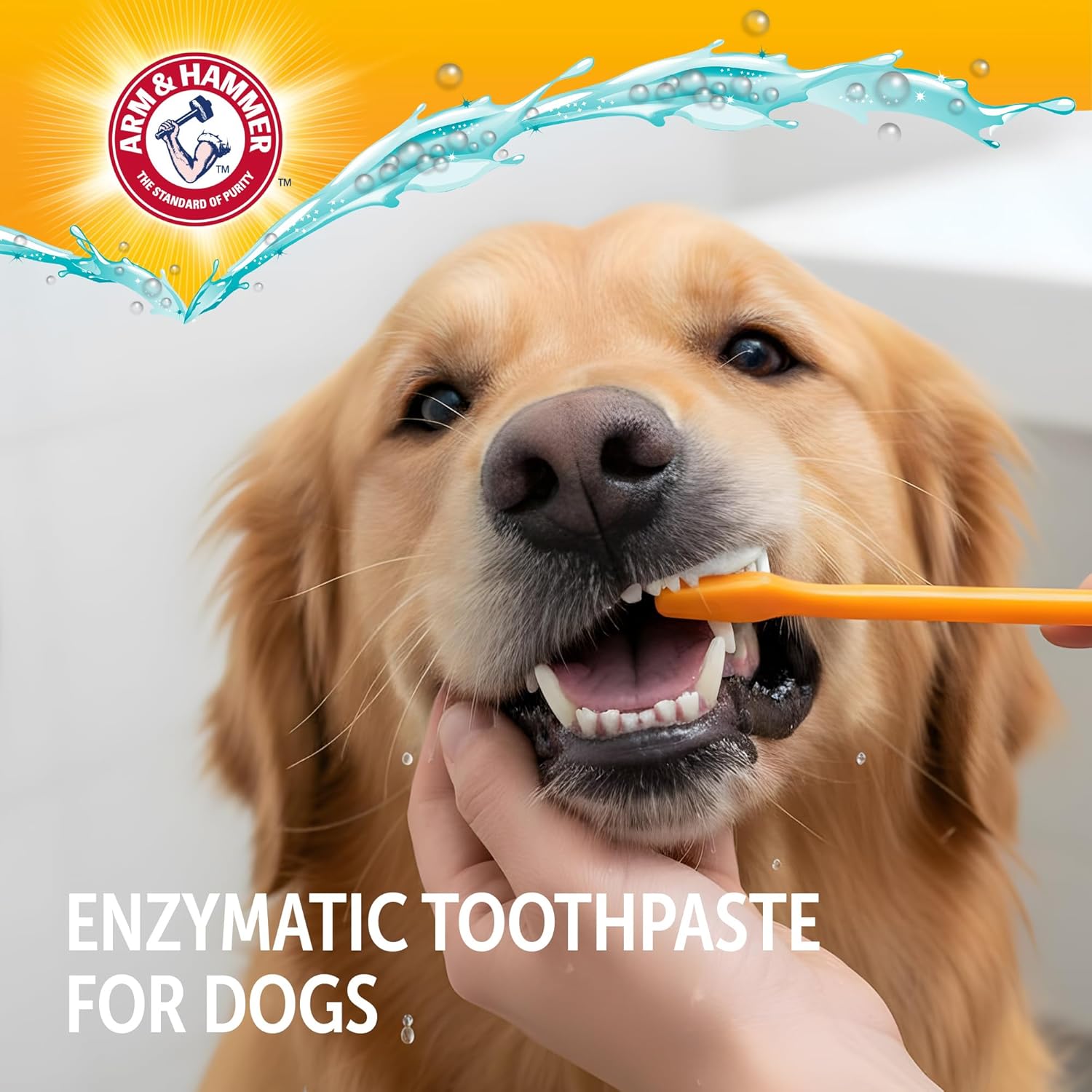 Arm & Hammer Complete Care Enzymatic Dog Toothpaste with Baking Soda and Calcium, Fluoride-Free Chicken Flavor for Plaque, Tartar, and Fresh Breath, 6.2 Oz Value Size - Image 4