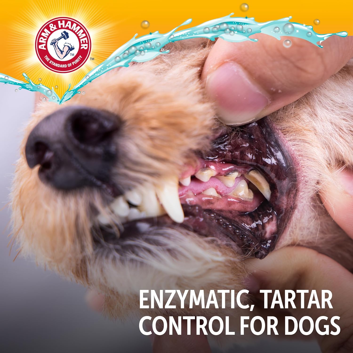 Arm & Hammer Complete Care Enzymatic Dog Toothpaste with Baking Soda and Calcium, Fluoride-Free Chicken Flavor for Plaque, Tartar, and Fresh Breath, 6.2 Oz Value Size - Image 8