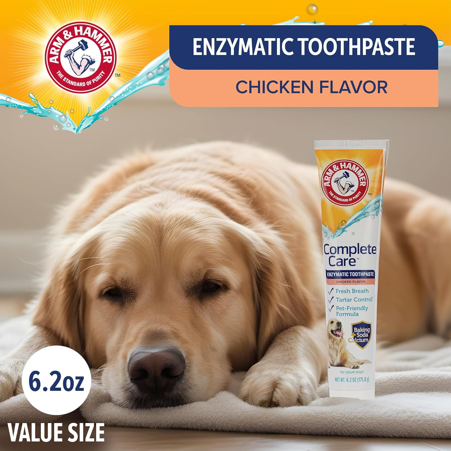 Arm & Hammer Complete Care Enzymatic Dog Toothpaste with Baking Soda and Calcium, Fluoride-Free Chicken Flavor for Plaque, Tartar, and Fresh Breath, 6.2 Oz Value Size - Image 3