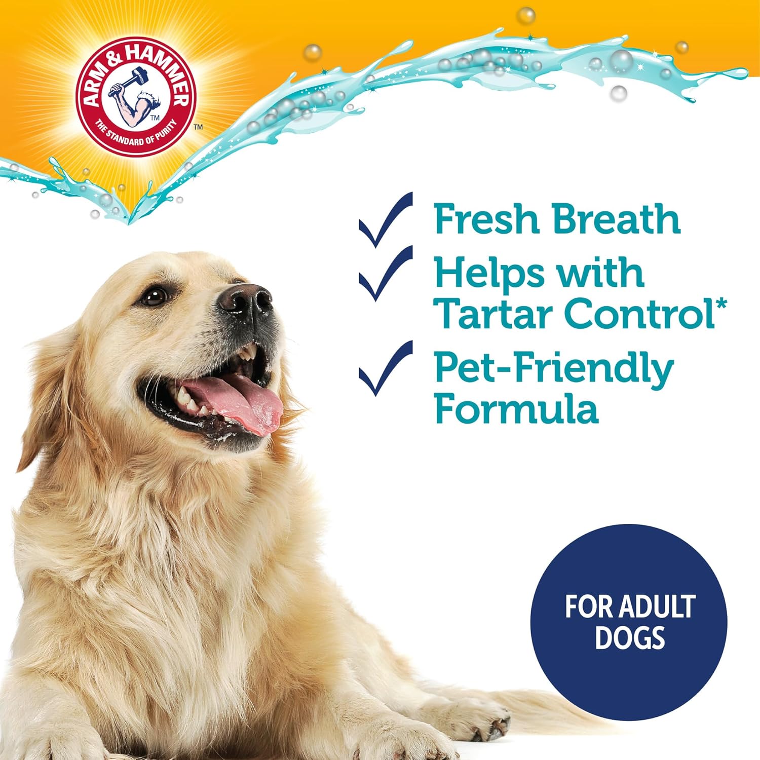 Arm & Hammer Complete Care Enzymatic Dog Toothpaste with Baking Soda and Calcium, Fluoride-Free Chicken Flavor for Plaque, Tartar, and Fresh Breath, 6.2 Oz Value Size - Image 5