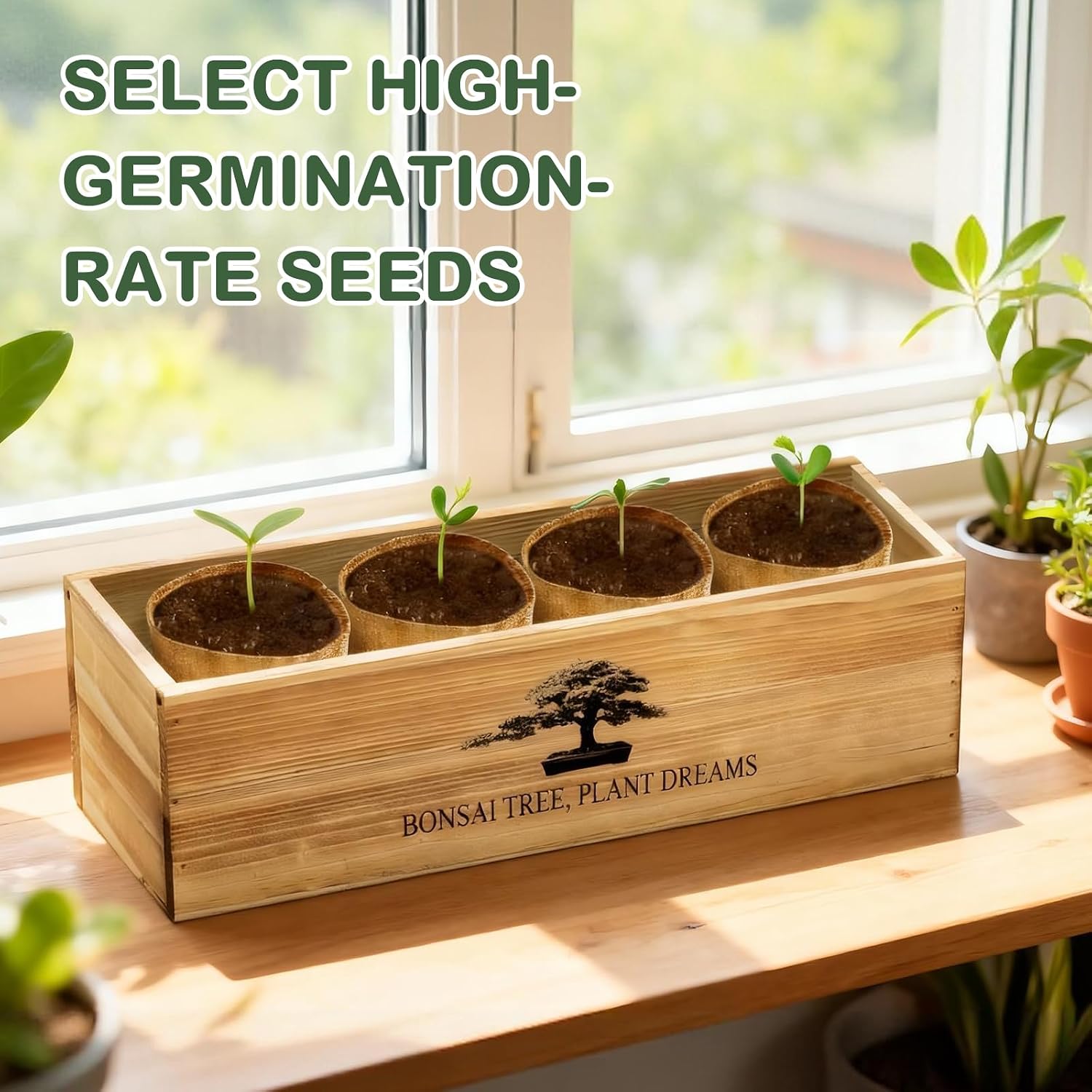 LUOJIBIE Bonsai Tree Kit, Bonsai Tree Starter Growing Kit, Unique Birthday Gifts for Women Men Mom Dad Girls Boys, House Warming Gifts New Home, Gardening Anniversary Wedding Gift, Crafts Hobby Kits - Image 8
