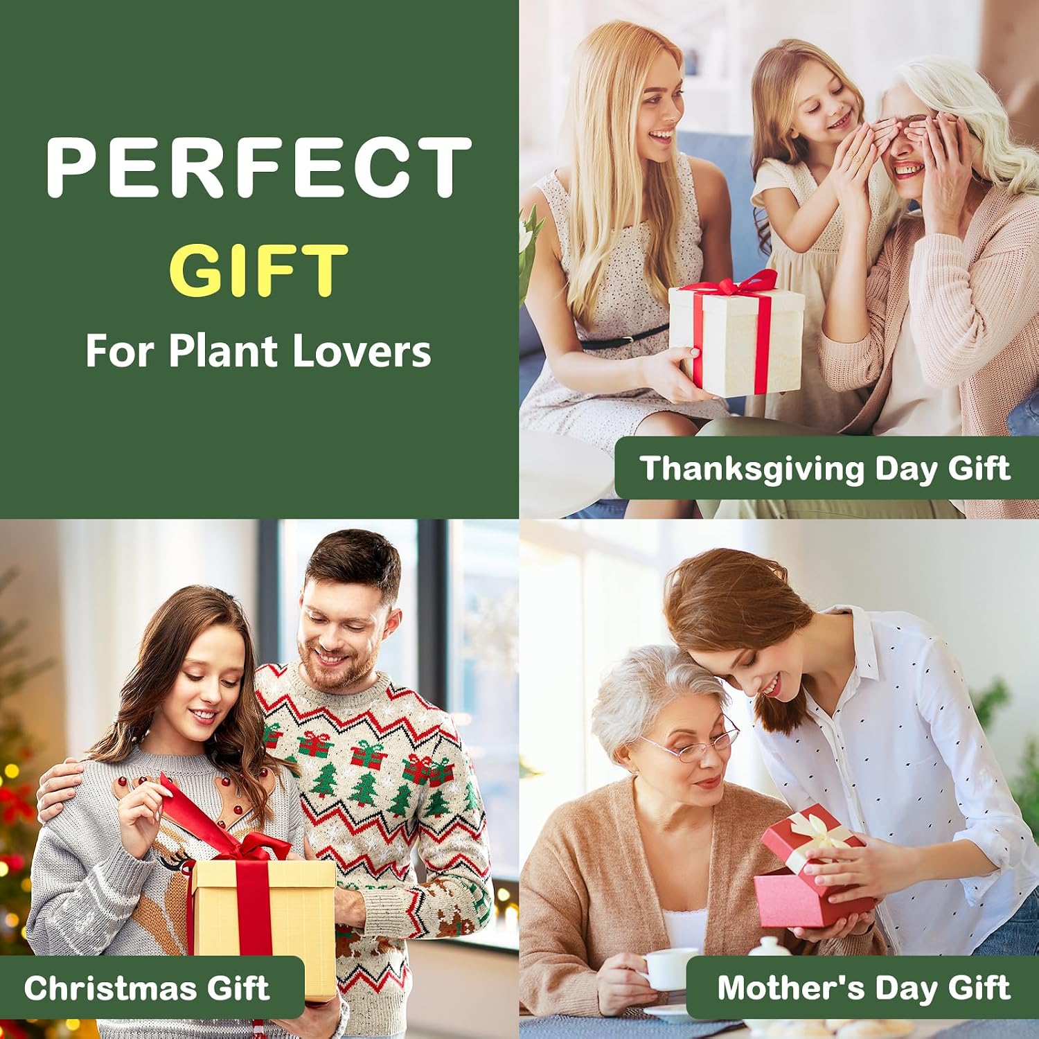 LUOJIBIE Bonsai Tree Kit, Bonsai Tree Starter Growing Kit, Unique Birthday Gifts for Women Men Mom Dad Girls Boys, House Warming Gifts New Home, Gardening Anniversary Wedding Gift, Crafts Hobby Kits - Image 7