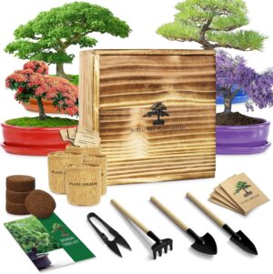 LUOJIBIE Bonsai Tree Kit for Beginn...