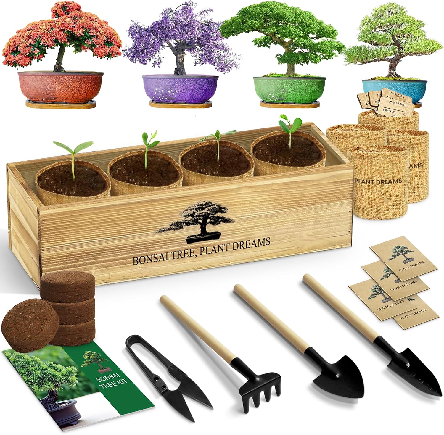 LUOJIBIE Bonsai Tree Kit, Bonsai Tree Starter Growing Kit, Unique Birthday Gifts for Women Men Mom Dad Girls Boys, House Warming Gifts New Home, Gardening Anniversary Wedding Gift, Crafts Hobby Kits