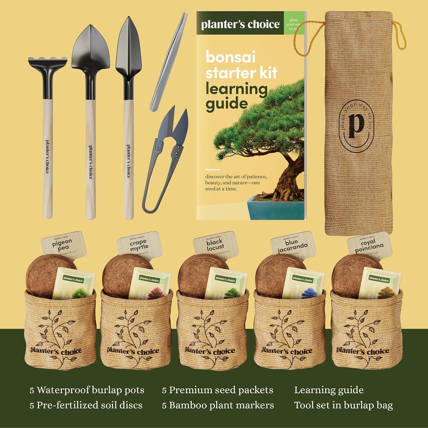 Bonsai Tree Starter Kit - Indoor Live House Plants - 5 Bonsai Tree | Birthday Gifts for Women, Men, Adults - Adults Craft Kits - Unique Hobby Gift Gardening Lovers - Gift Ideas Mom, Her, Friend - Image 4