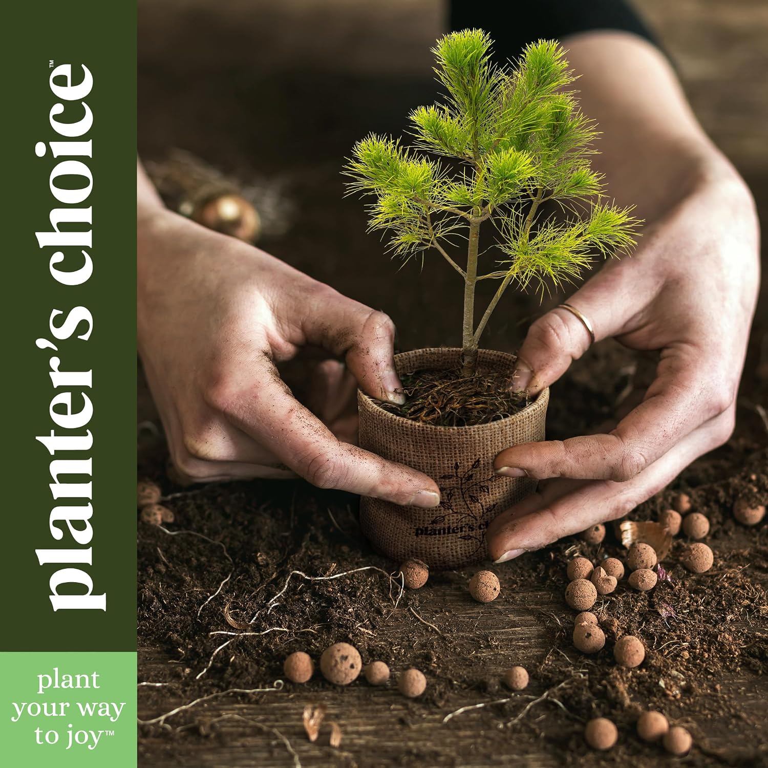 Bonsai Tree Starter Kit - Indoor Live House Plants - 5 Bonsai Tree | Birthday Gifts for Women, Men, Adults - Adults Craft Kits - Unique Hobby Gift Gardening Lovers - Gift Ideas Mom, Her, Friend - Image 8