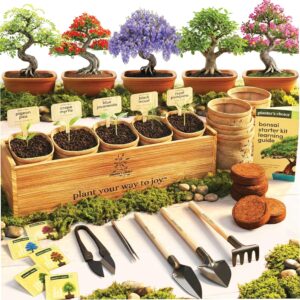 Bonsai Tree Starter Kit – Ind...