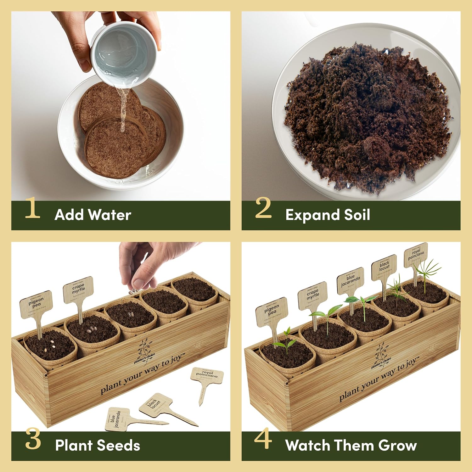 Bonsai Tree Starter Kit - Indoor Live House Plants - 5 Bonsai Tree | Birthday Gifts for Women, Men, Adults - Adults Craft Kits - Unique Hobby Gift Gardening Lovers - Gift Ideas Mom, Her, Friend - Image 6