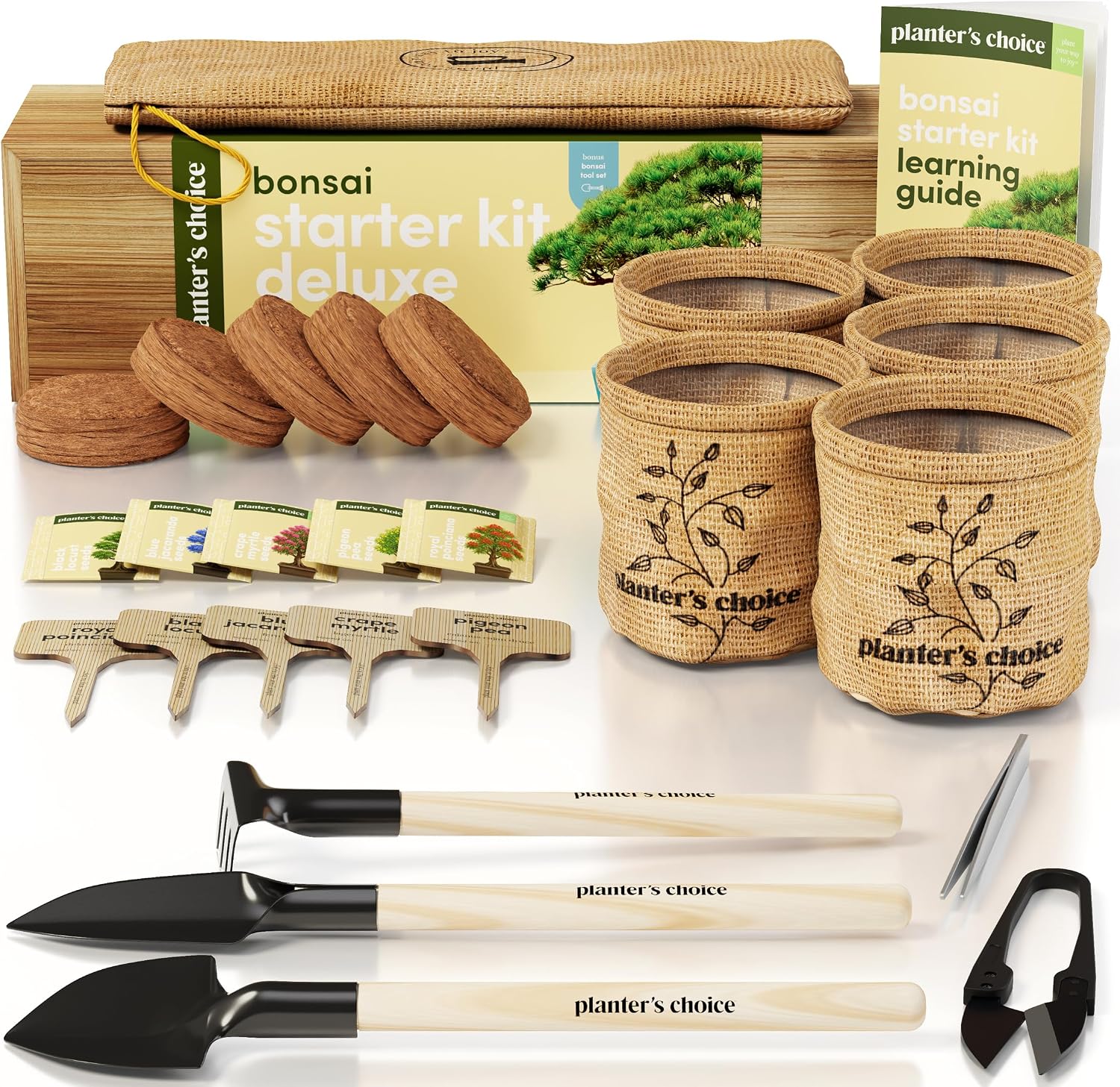 Bonsai Tree Starter Kit - Indoor Live House Plants - 5 Bonsai Tree | Birthday Gifts for Women, Men, Adults - Adults Craft Kits - Unique Hobby Gift Gardening Lovers - Gift Ideas Mom, Her, Friend - Image 9