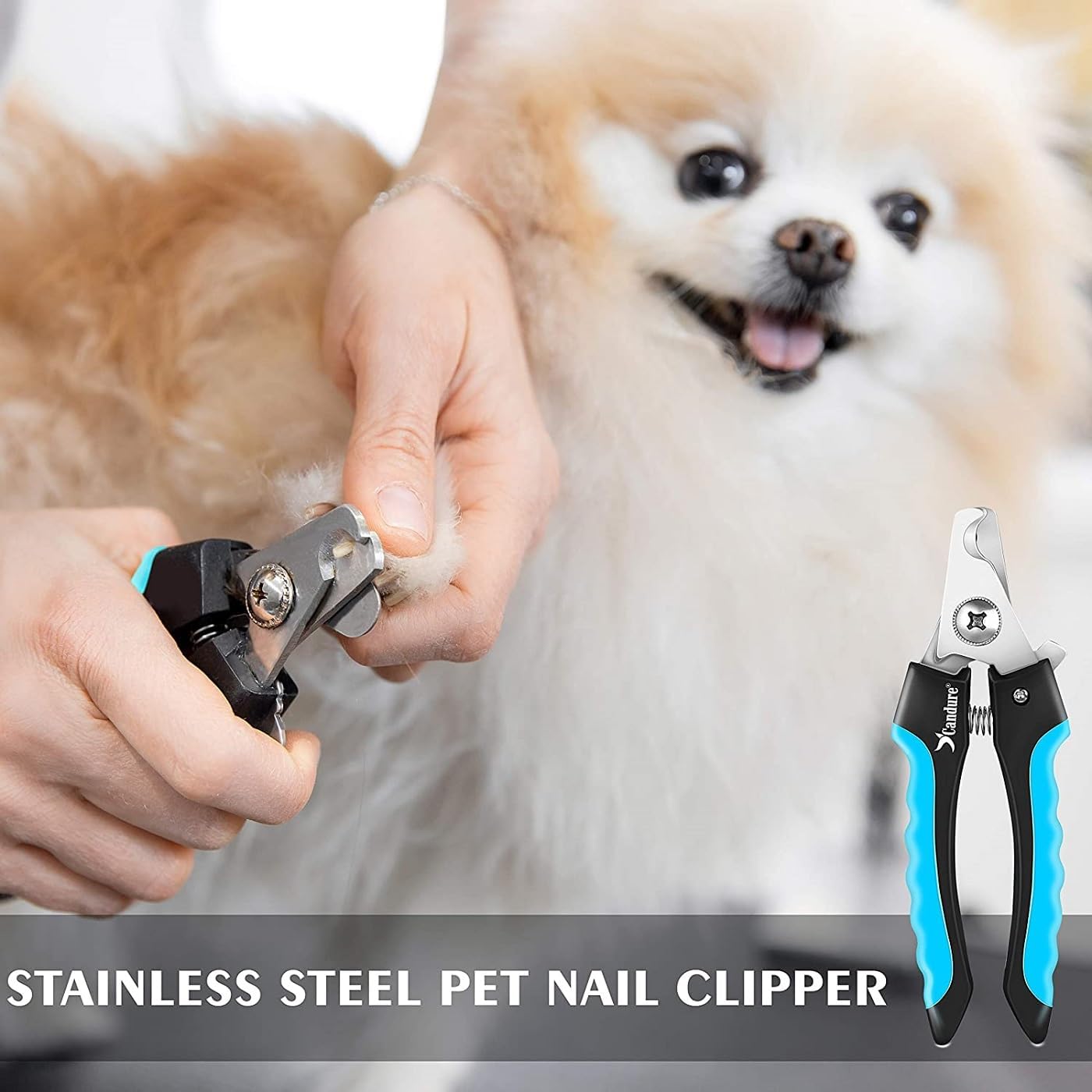 Candure Pet Nail Clippers, Blue, Large to Medium Pets - Image 7