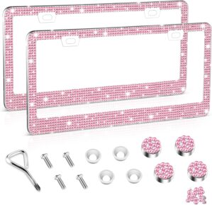 Amiss Bling License Plate Frame for...
