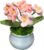 Joekaran Crochet Flowers Cute Flower for Her, Graduation Birthday Gifts for Women and Teacher, Mother, Coworkers, Valentines, Christmas, Desk Decor,Home Office Decoration(Pink Gradient Myosotis)
