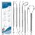7pcs Dental Tools, Dental Pick Teeth Cleaning Tools Hygiene Kit, Professional Stainless Steel Tooth Scraper Plaque Tartar Cleaner – with Case, Personal Using, Pets – Teeth Cleaning Kit